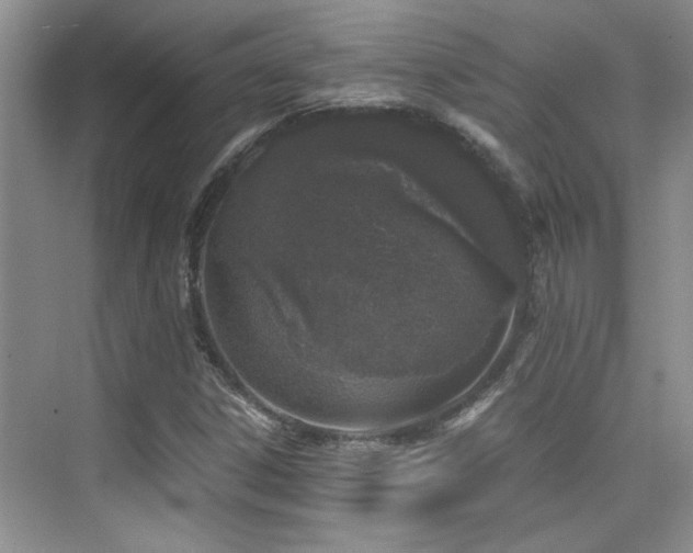 X0000076071306200609221146