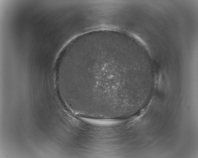 X0000076071310200609221146