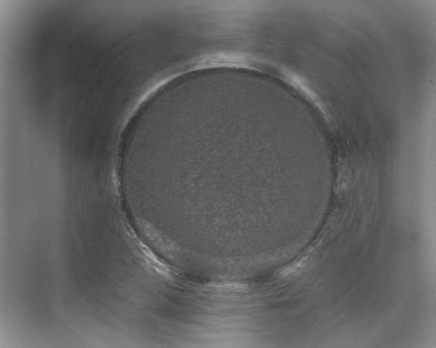 X0000076071312200609221146