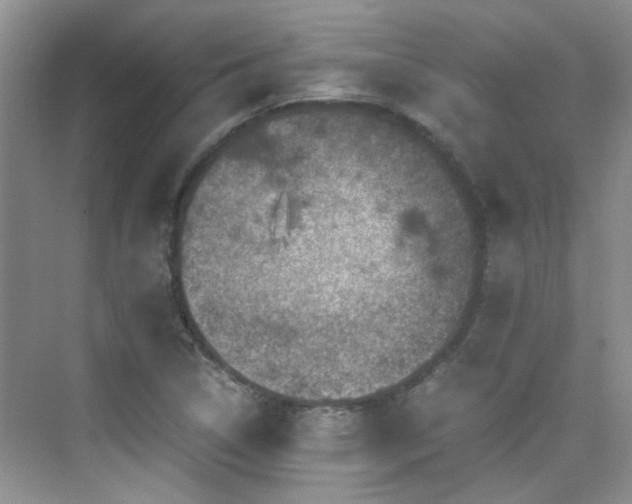 X0000076071314200609221146