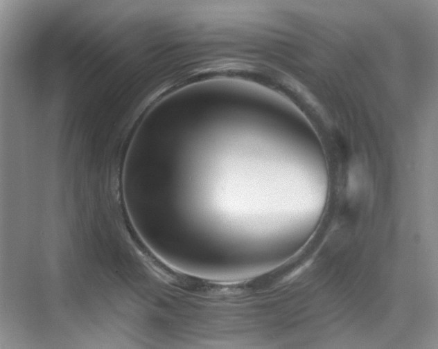 X0000076071321200609221146