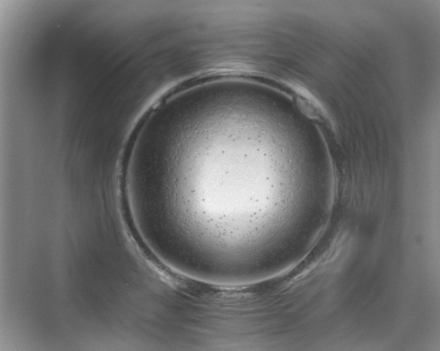 X0000076071325200609221146