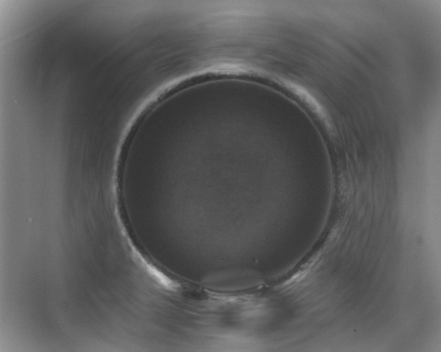 X0000076071327200609221146