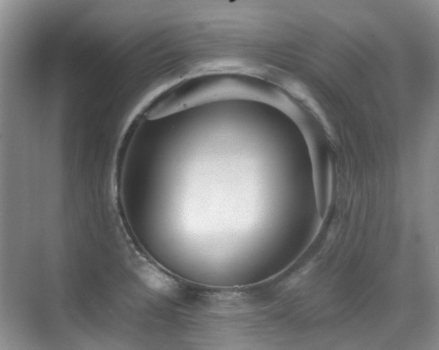 X0000076071328200609221146