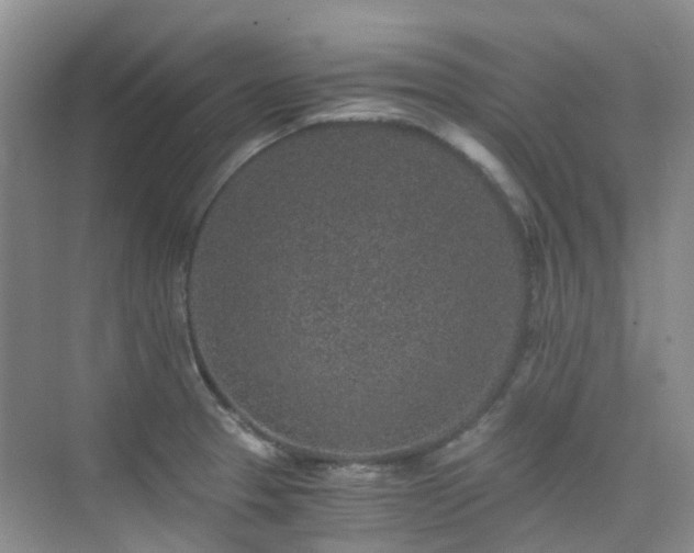 X0000076071329200609221146