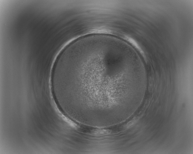 X0000076071331200609221146