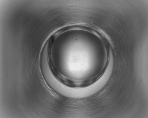 X0000076071332200609221146