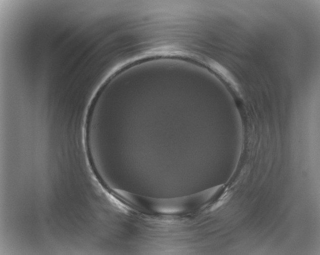 X0000076071334200609221146