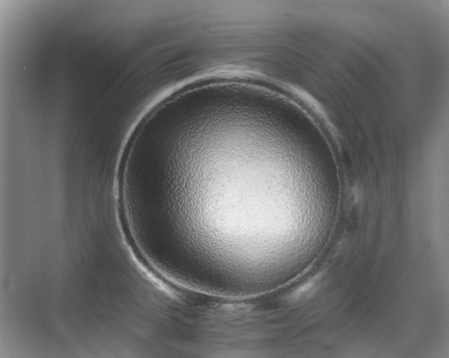 X0000076071335200609221146