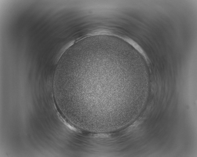 X0000076071337200609221146