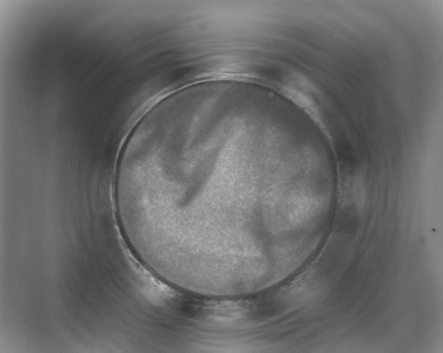 X0000076071338200609221146