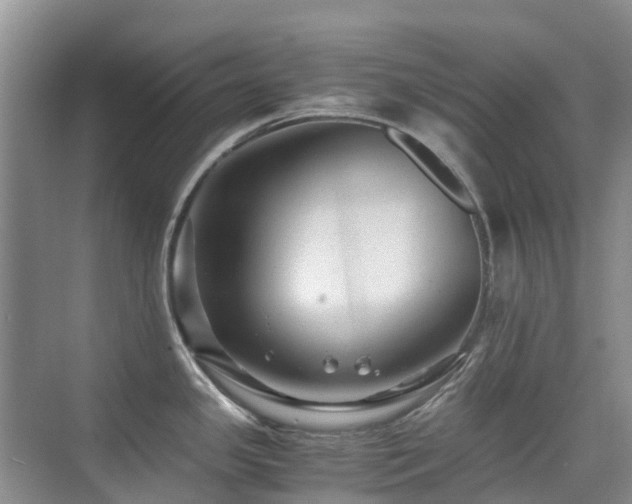 X0000076071341200609221146