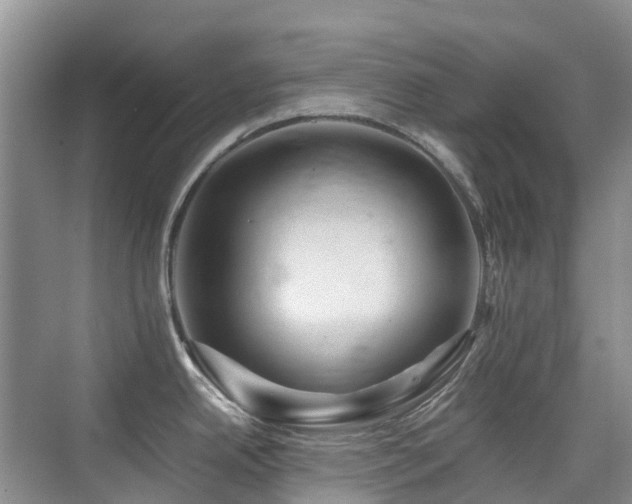 X0000076071342200609221146