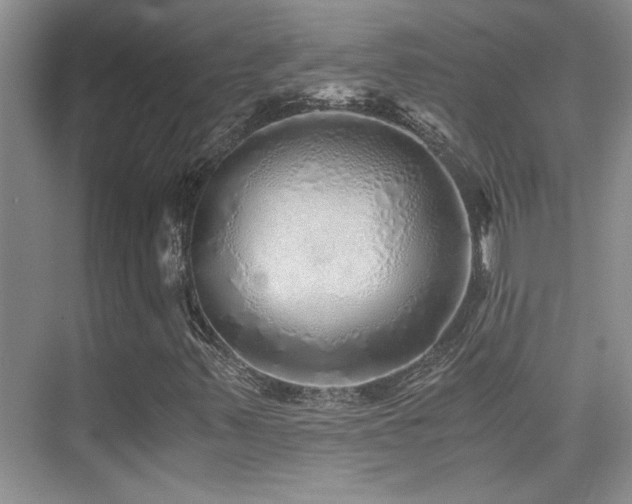 X0000076071347200609221146