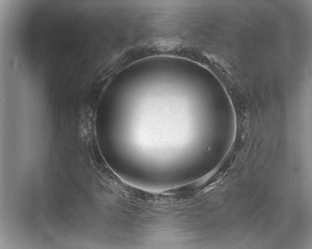 X0000076071349200609221146