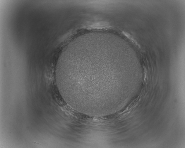 X0000076071350200609221146