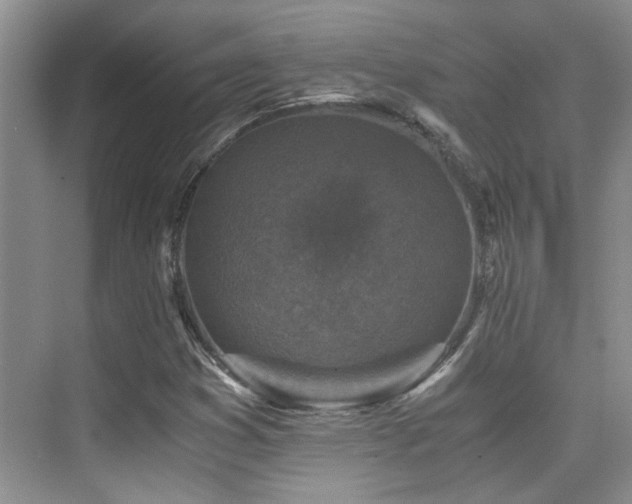 X0000076071353200609221146