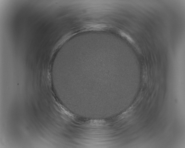 X0000076071354200609221146