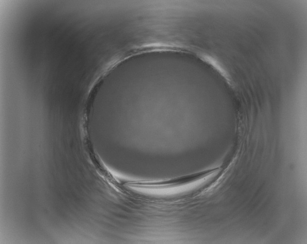 X0000076071357200609221145