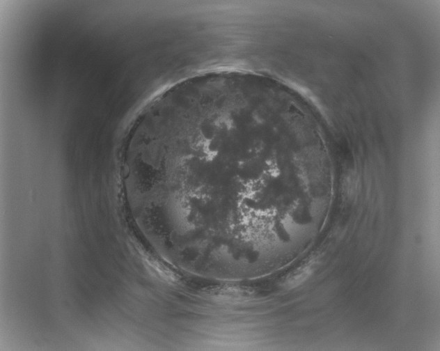 X0000076071359200609221145