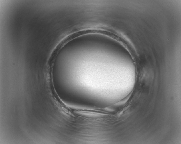 X0000076071360200609221145