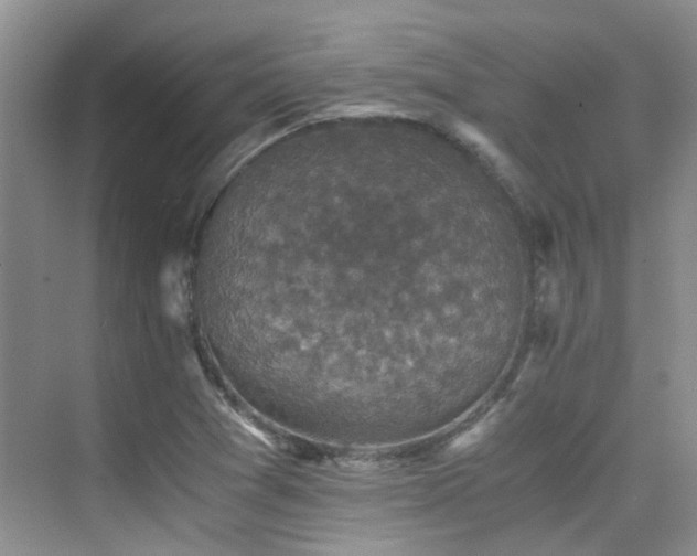 X0000076071361200609221145