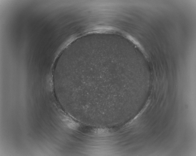 X0000076071362200609221145