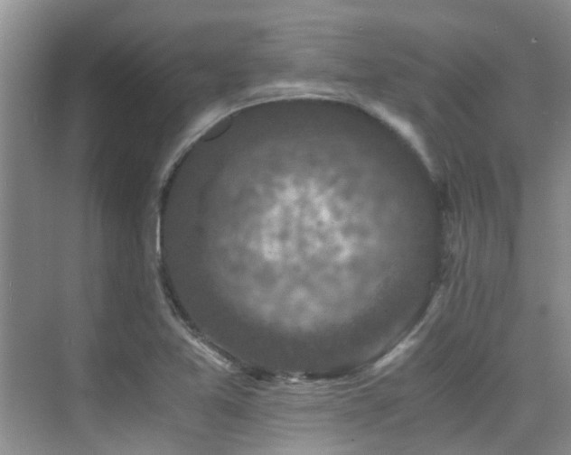 X0000076071365200609221145