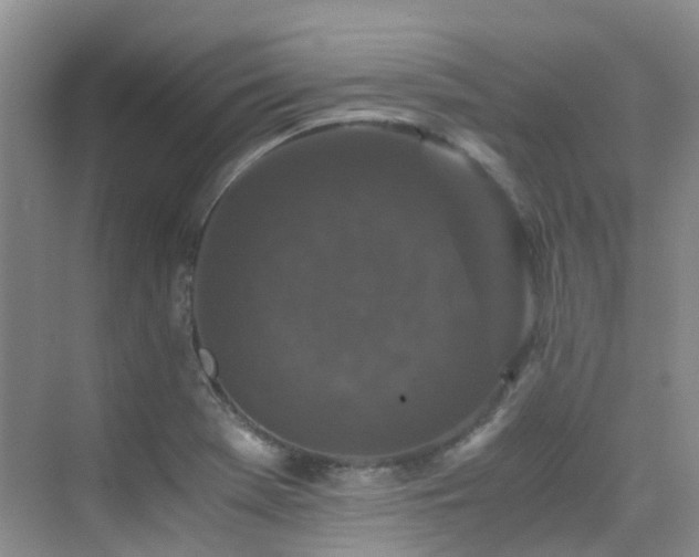 X0000076071369200609221145