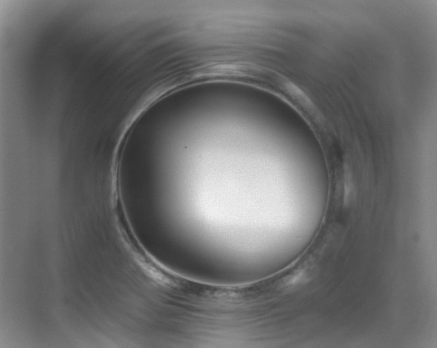 X0000076071370200609221145