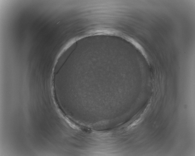 X0000076071373200609221145