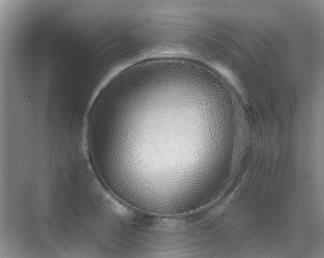 X0000076071374200609221145