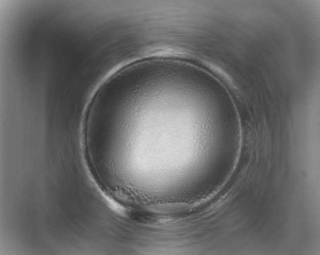 X0000076071375200609221145