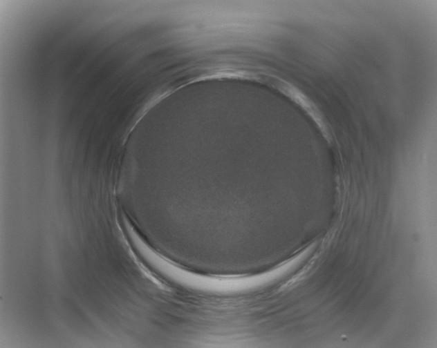 X0000076071377200609221145