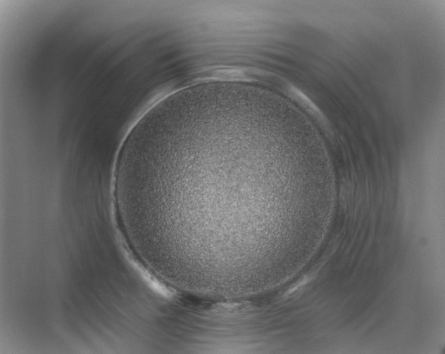 X0000076071378200609221145