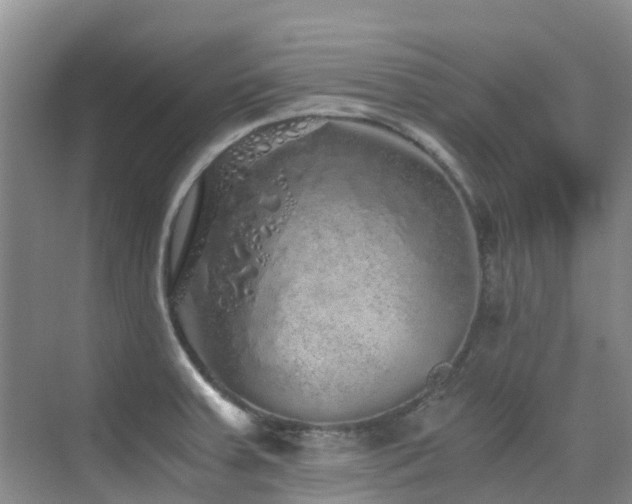 X0000076071379200609221145