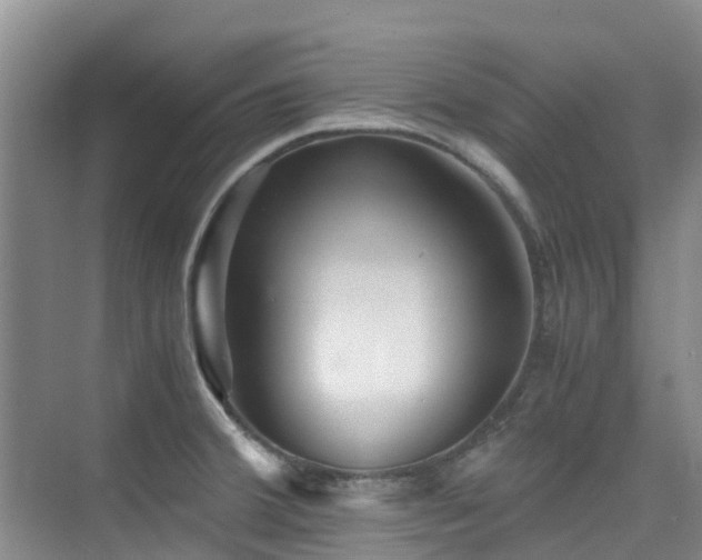 X0000076071380200609221145