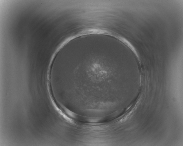 X0000076071381200609221145