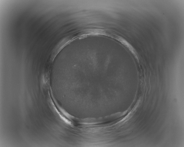 X0000076071385200609221145