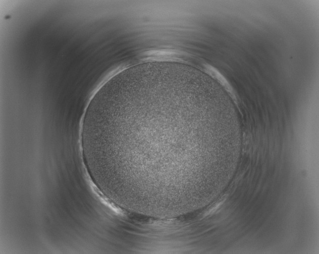 X0000076071386200609221145