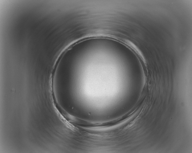 X0000076071388200609221145