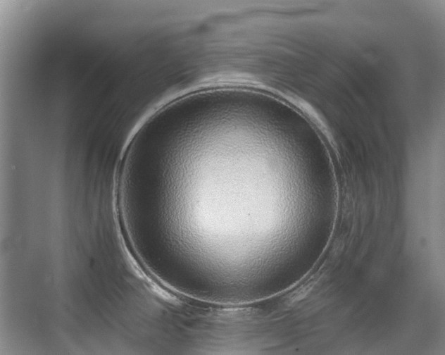 X0000076071390200609221145