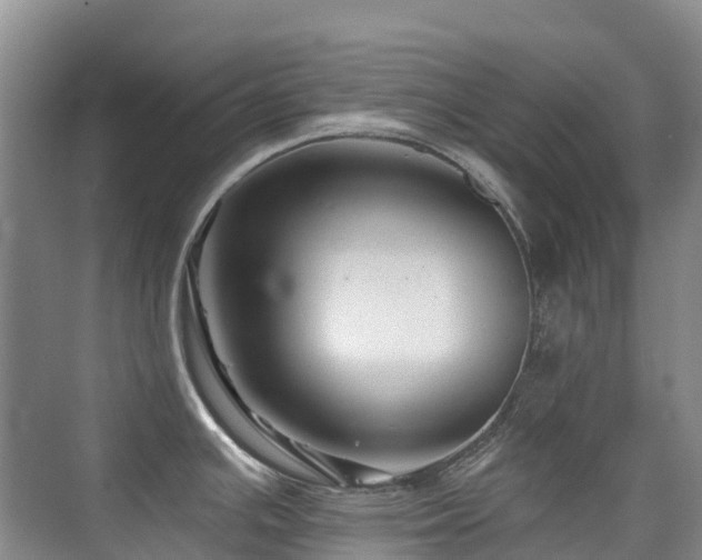 X0000076071391200609221145