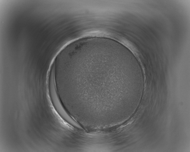 X0000076071392200609221145