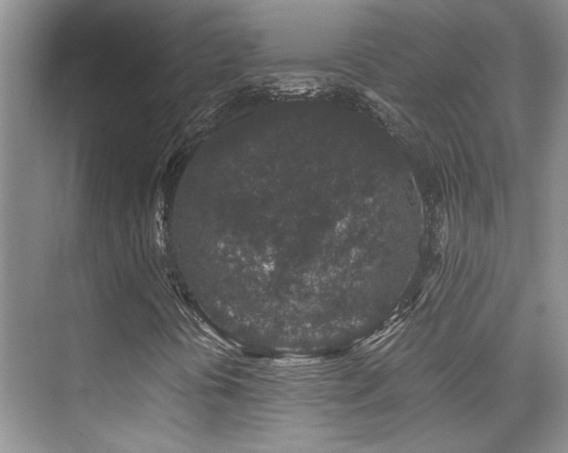 X0000076071394200609221144