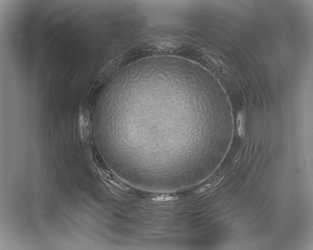 X0000076071395200609221144