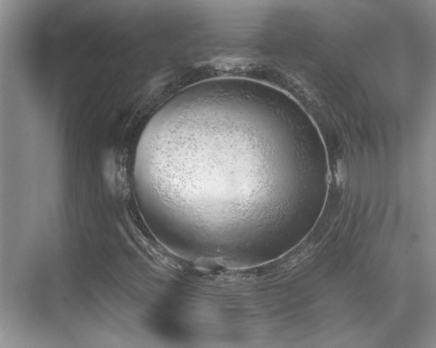 X0000076071396200609221144