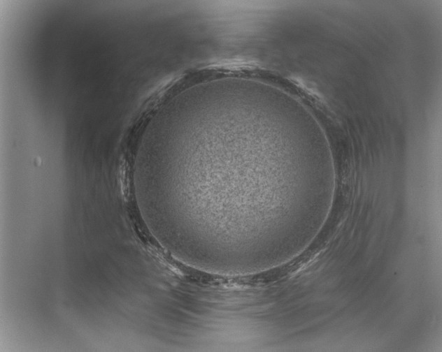 X0000076071398200609221144