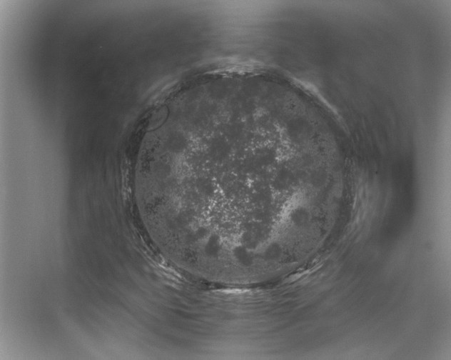 X0000076071399200609221144