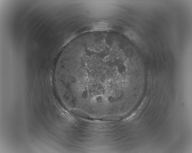 X0000076071401200609221144